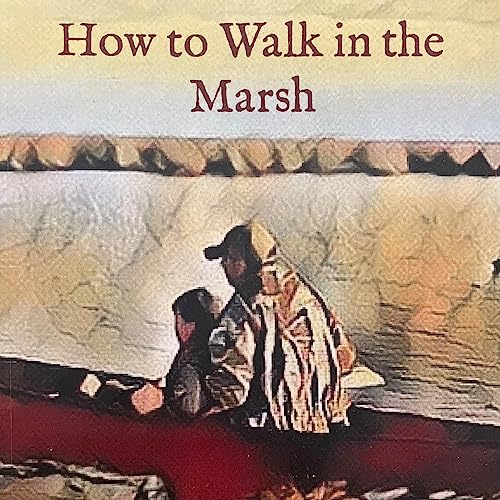 Cover of How to Walk in the Marsh