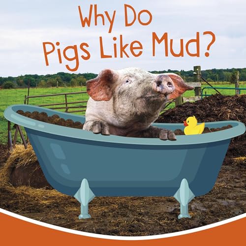 Cover of Why Do Pigs Like Mud?
