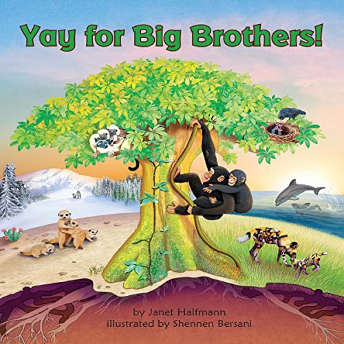 Cover of Yay for Big Brothers!
