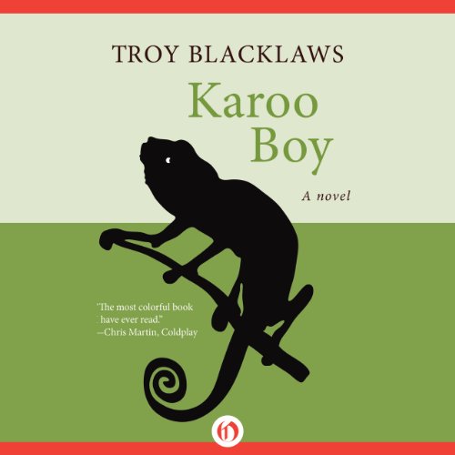 Cover of Karoo Boy