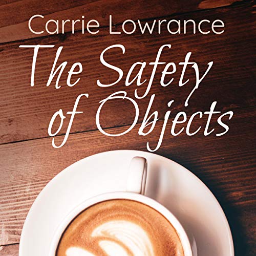 Cover of The Safety of Objects