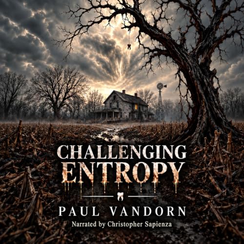 Cover of Challenging Entropy