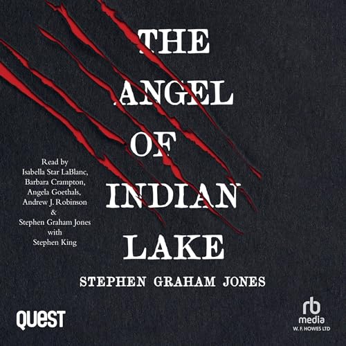 Cover of The Angel of Indian Lake