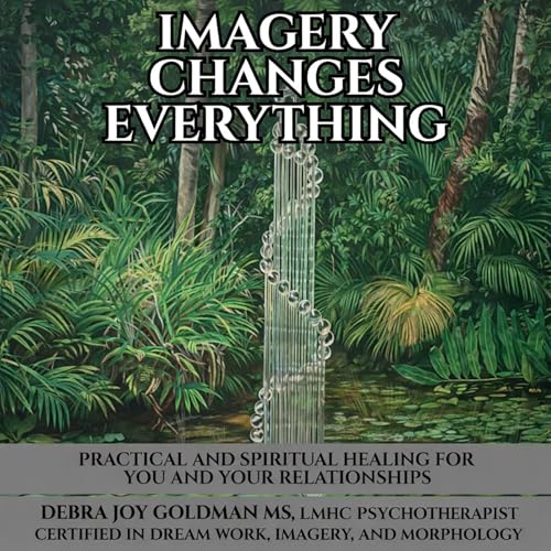 Cover of Imagery Changes Everything