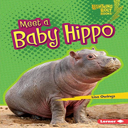 Cover of Meet a Baby Hippo