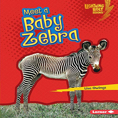 Cover of Meet a Baby Zebra