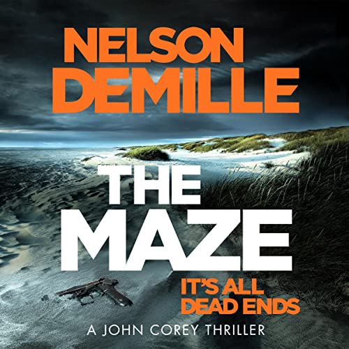 Cover of The Maze