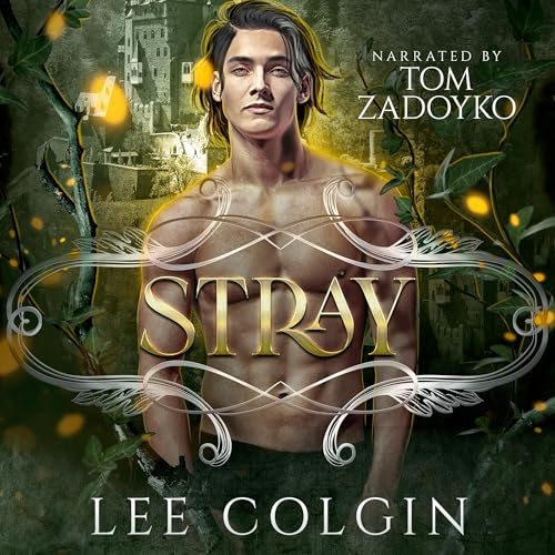 Cover of Stray