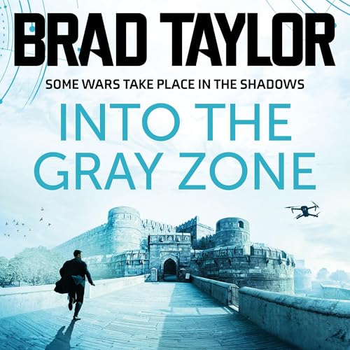 Cover of Into the Gray Zone