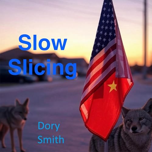 Cover of Slow Slicing