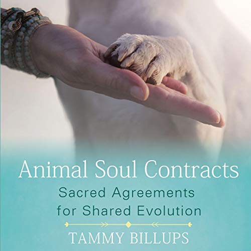 Cover of Animal Soul Contracts