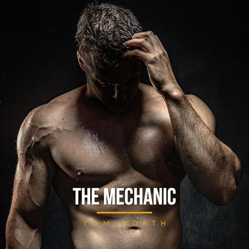 Cover of The Mechanic