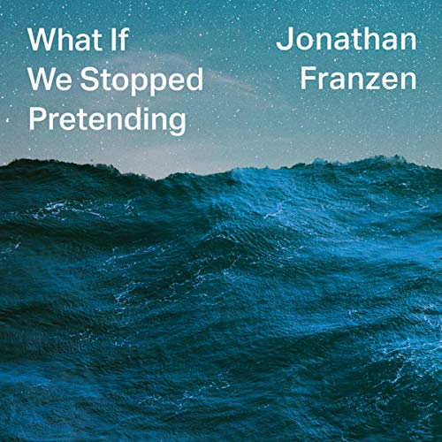 Cover of What If We Stopped Pretending?