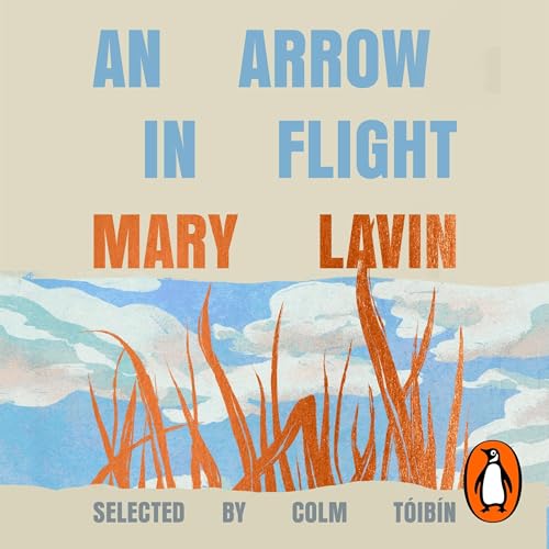 Cover of An Arrow in Flight