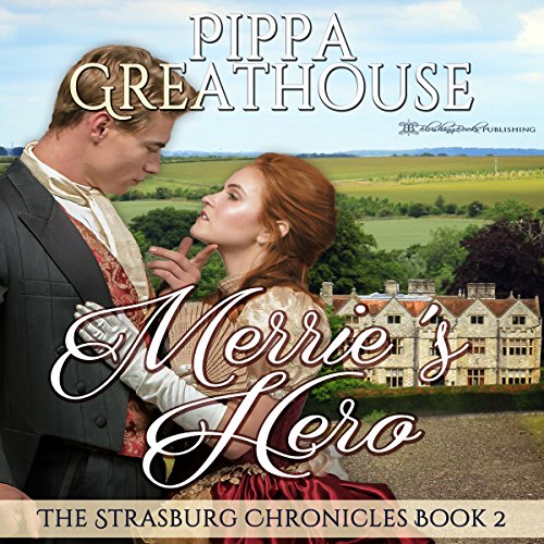 Cover of Merrie's Hero