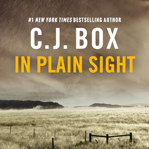 Cover of In Plain Sight