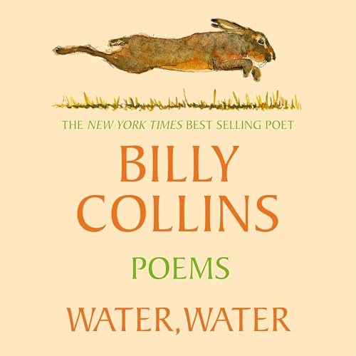 Cover of Water, Water