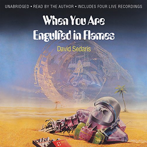Cover of When You Are Engulfed in Flames