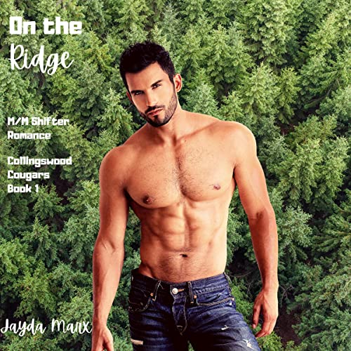 Cover of On the Ridge