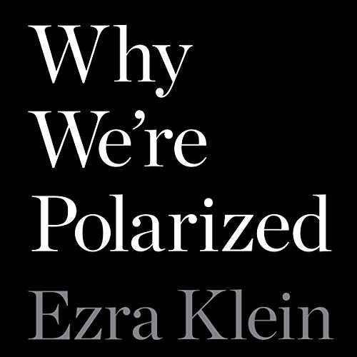 Cover of Why We're Polarized