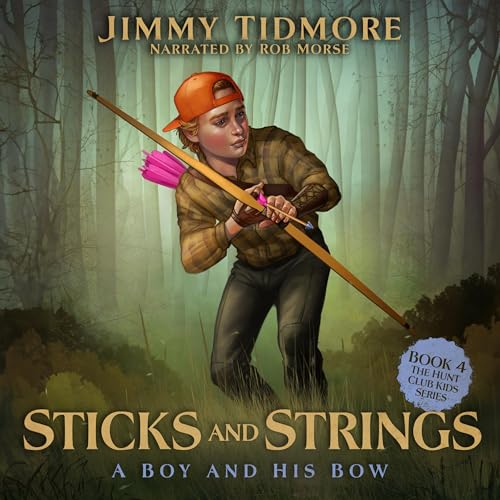 Cover of Sticks and Strings