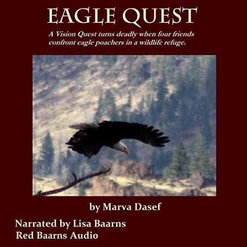 Cover of Eagle Quest
