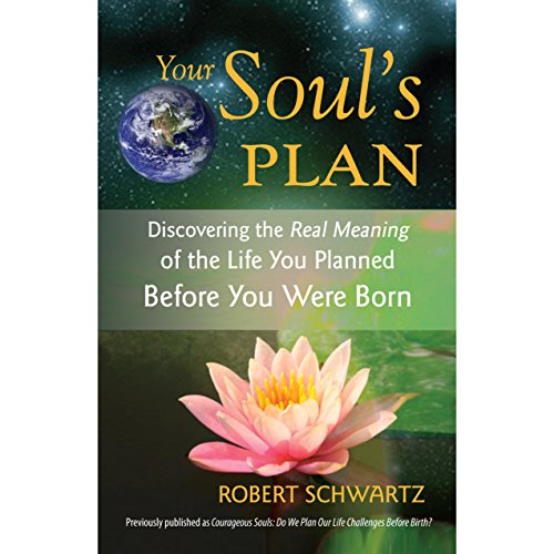 Cover of Your Soul's Plan