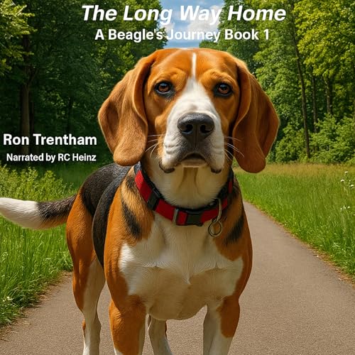 Cover of The Long Way Home