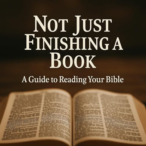 Cover of Not Just Finishing a Book