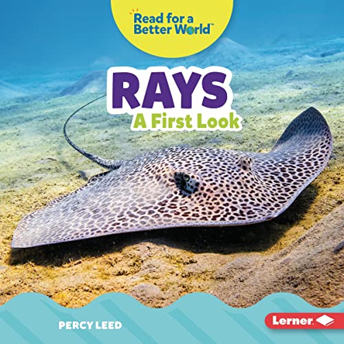 Cover of Rays