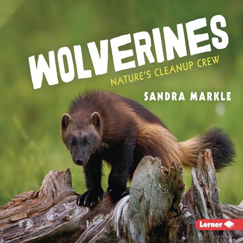 Cover of Wolverines