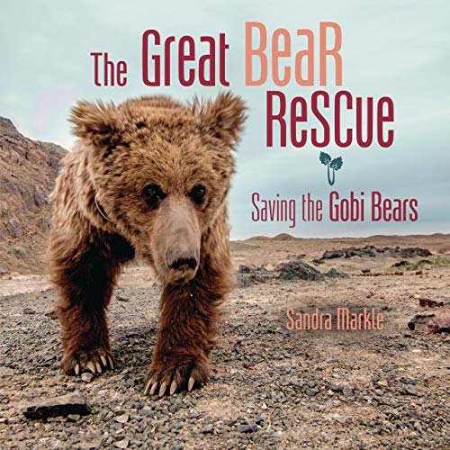 Cover of The Great Bear Rescue