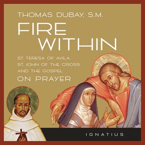 Cover of Fire Within