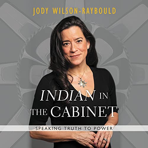 Cover of ""Indian"" in the Cabinet