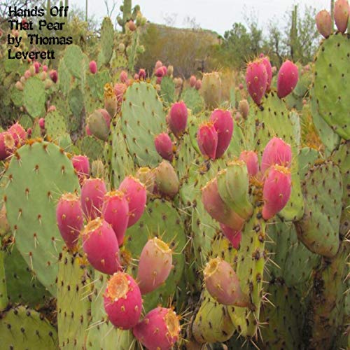 Cover of Hands Off That Pear