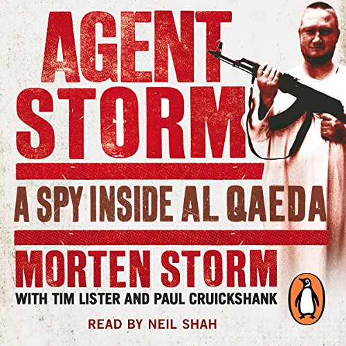 Cover of Agent Storm