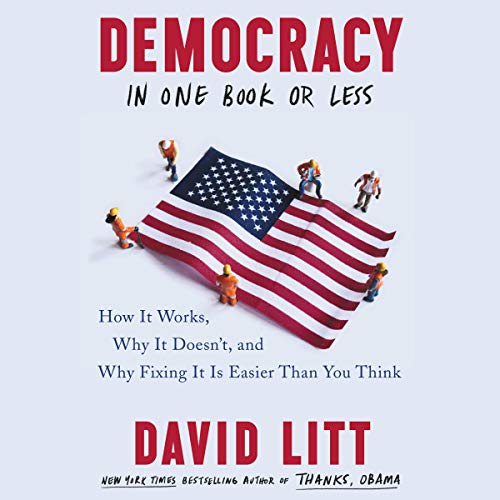 Cover of Democracy in One Book or Less