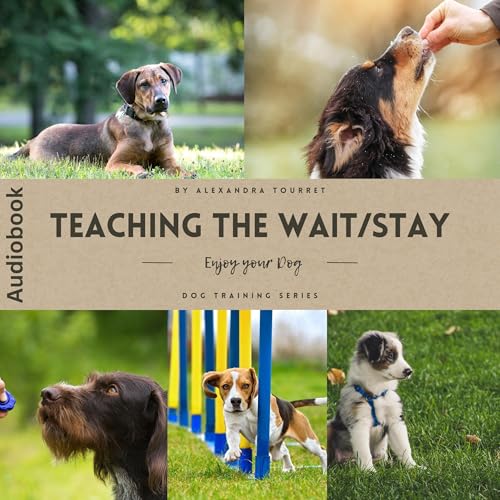 Cover of Teaching the Wait or Stay