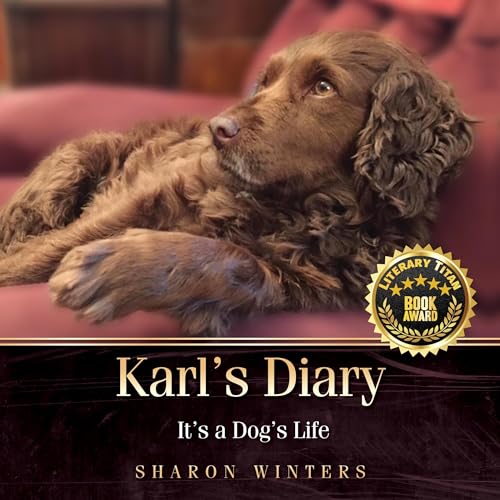 Cover of Karl's Diary