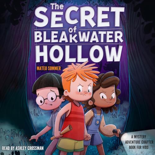 Cover of The Secret of Bleakwater Hollow