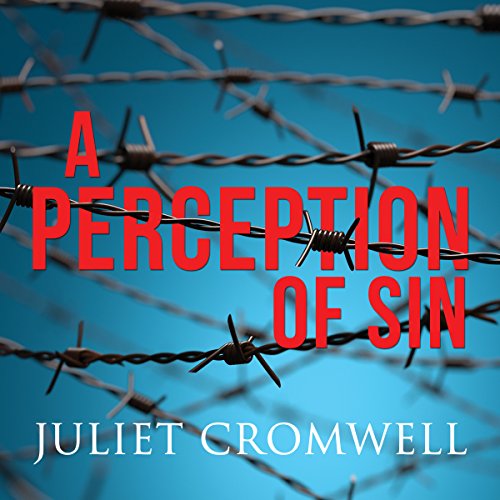 Cover of A Perception of Sin
