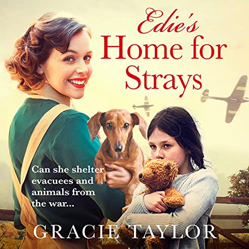 Cover of Edie’s Home for Strays