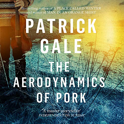 Cover of The Aerodynamics of Pork