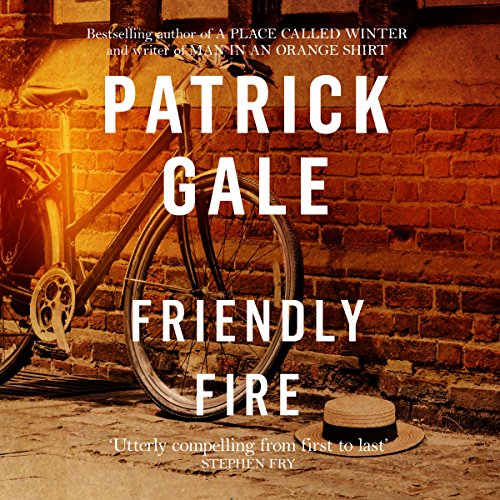 Cover of Friendly Fire