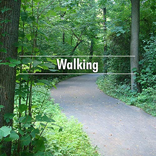 Cover of Walking