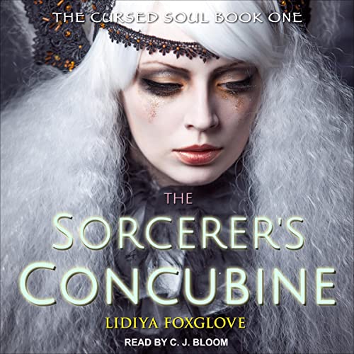 Cover of The Sorcerer's Concubine
