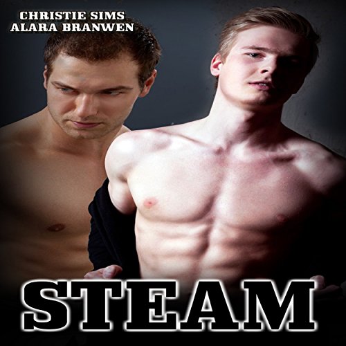 Cover of Steam