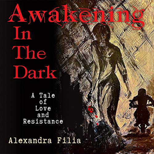 Cover of Awakening in the Dark