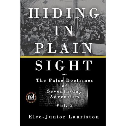 Cover of Hiding In Plain Sight