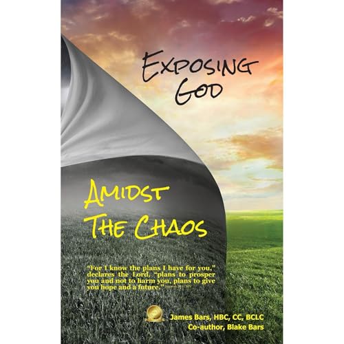 Cover of Exposing God Amidst the Chaos